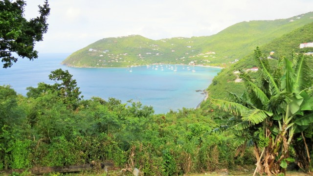 View of Cane Garden Bay from Windy Hill.