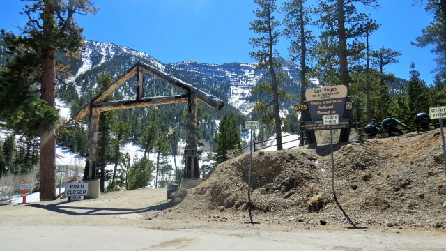 The entrance to  the Spring Mountain Festival.